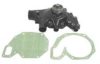 DAF 680156 Water Pump